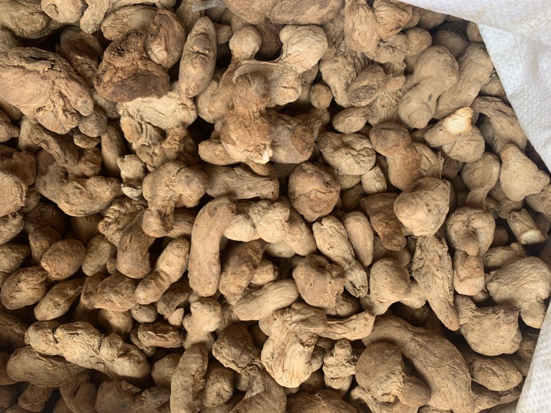 泡姜泡姜粉，批发姜粉，各种中药细粉，原料粉