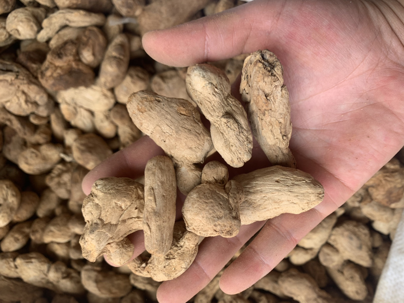 泡姜泡姜粉，批发姜粉，各种中药细粉，原料粉