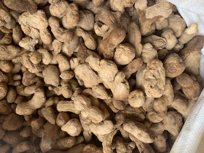 泡姜泡姜粉，批发姜粉，各种中药细粉，原料粉