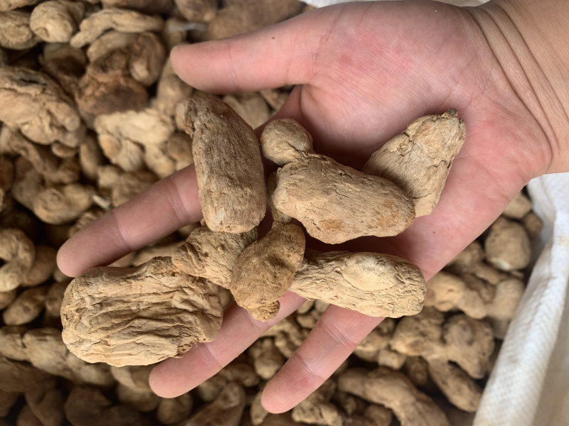 泡姜泡姜粉，批发姜粉，各种中药细粉，原料粉