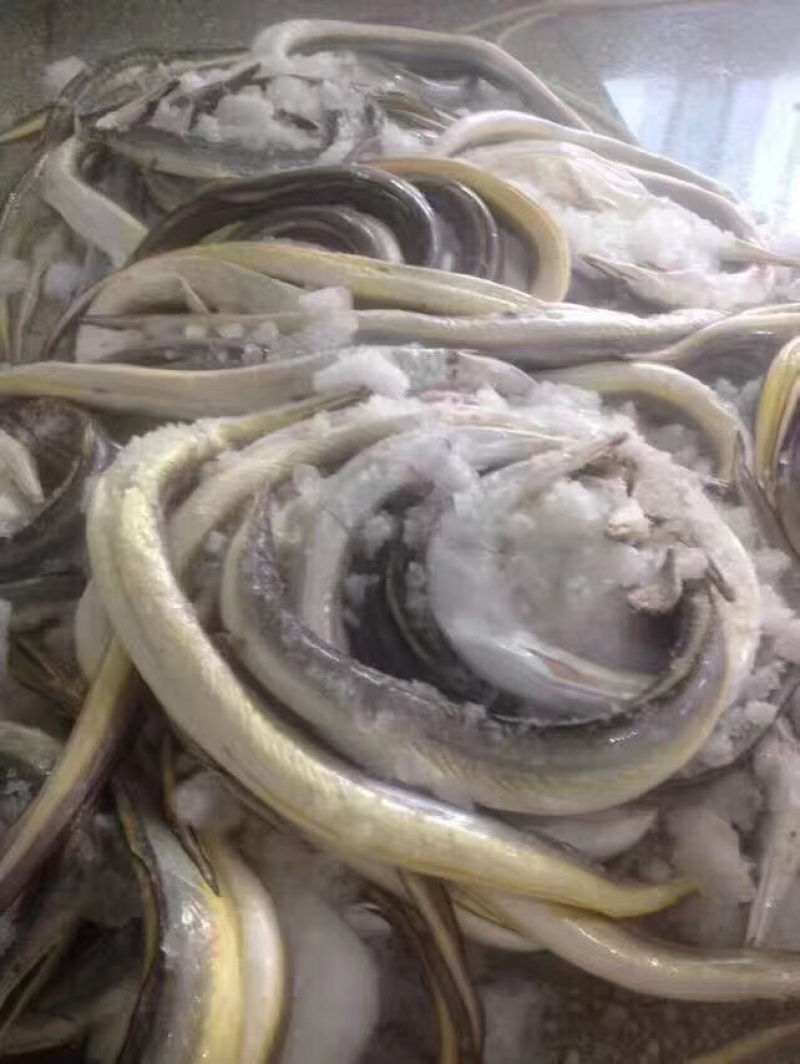 香港鳗鱼饺