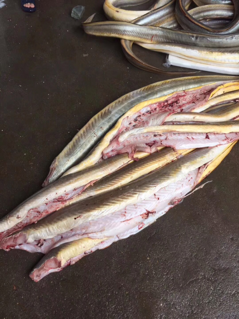 香港鳗鱼饺