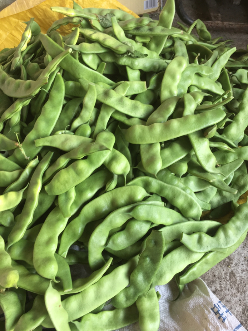 一点红豆角