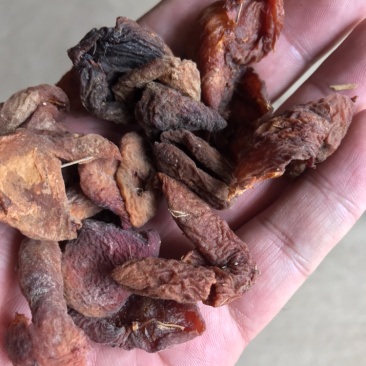 杏干，甘肃定西特产，质量好货源充足全国发货
