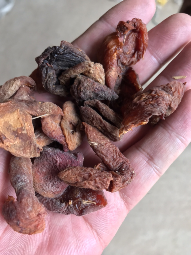 杏干，甘肃定西特产，质量好货源充足全国发货
