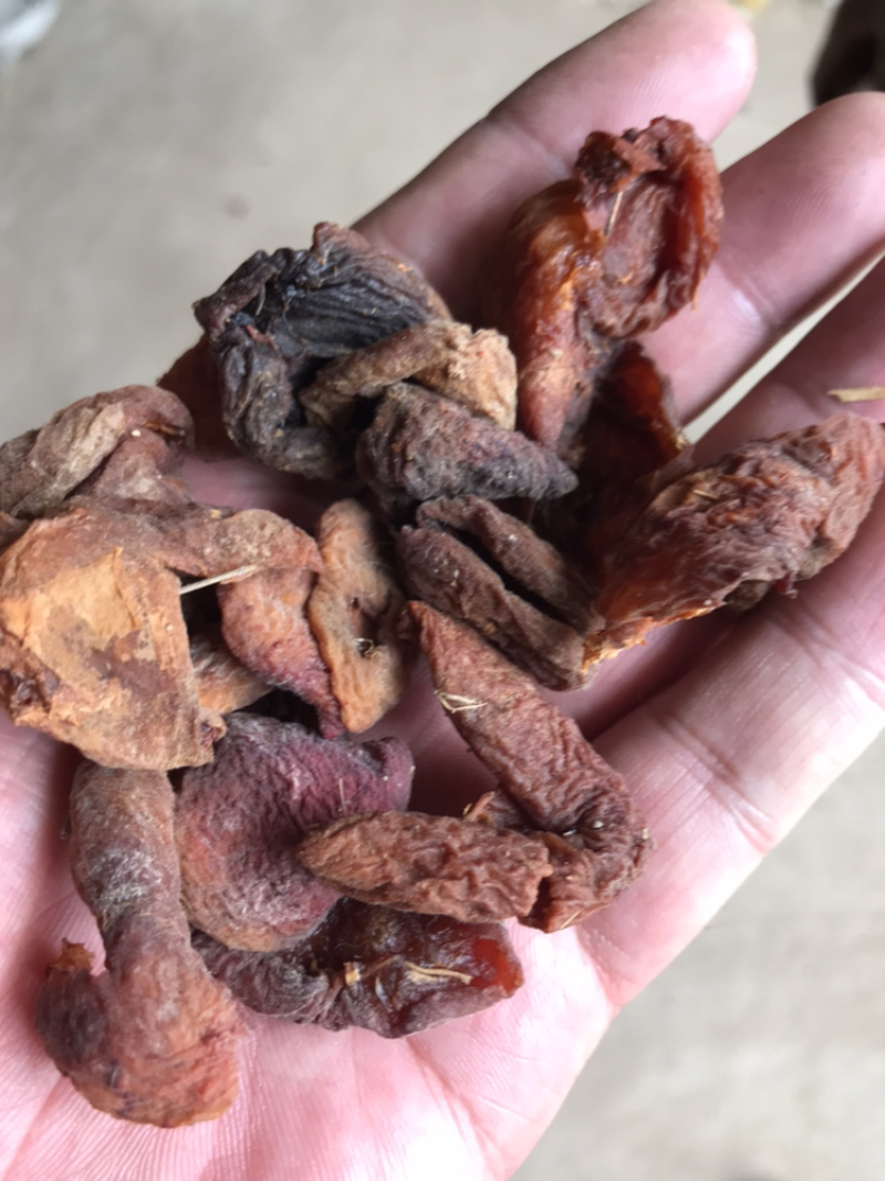 杏干，甘肃定西特产，质量好货源充足全国发货