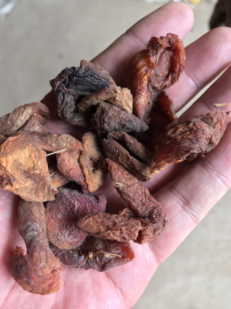 杏干，甘肃定西特产，质量好货源充足全国发货