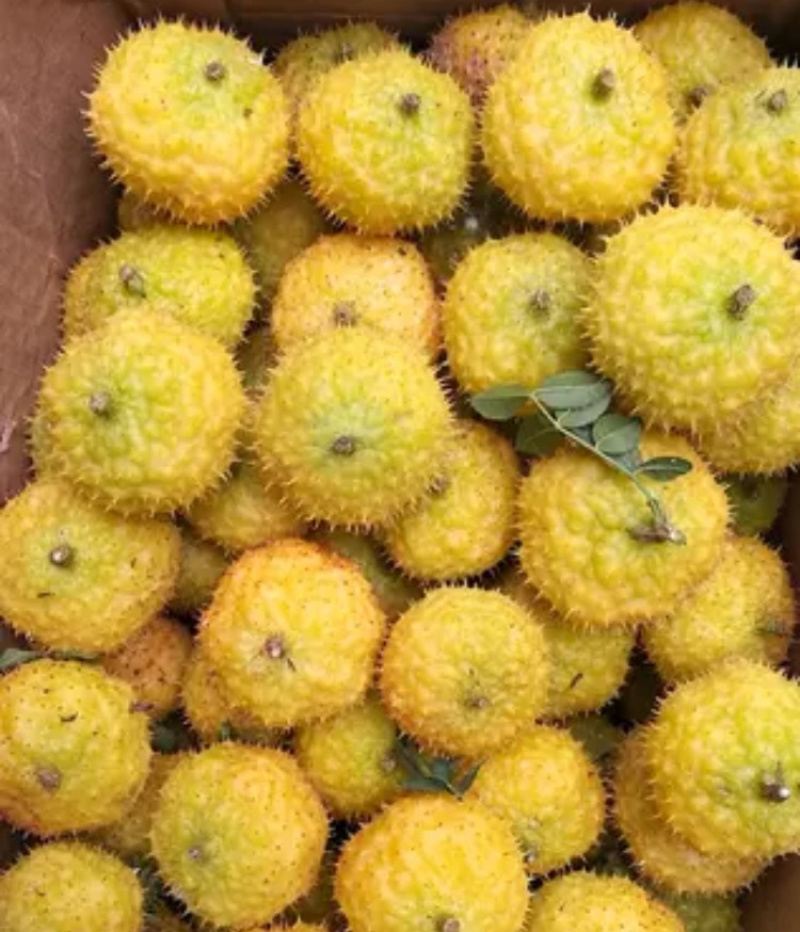 刺梨维C之王