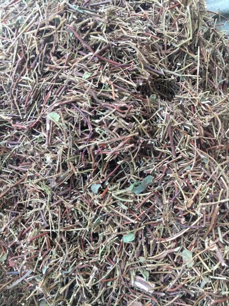 鸡骨草
