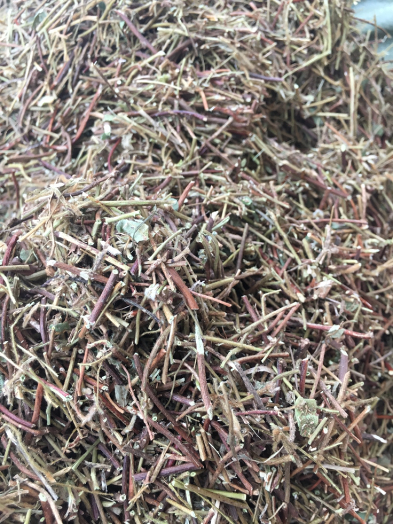 鸡骨草