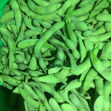 豆类毛豆青豆豌豆各种速冻食品