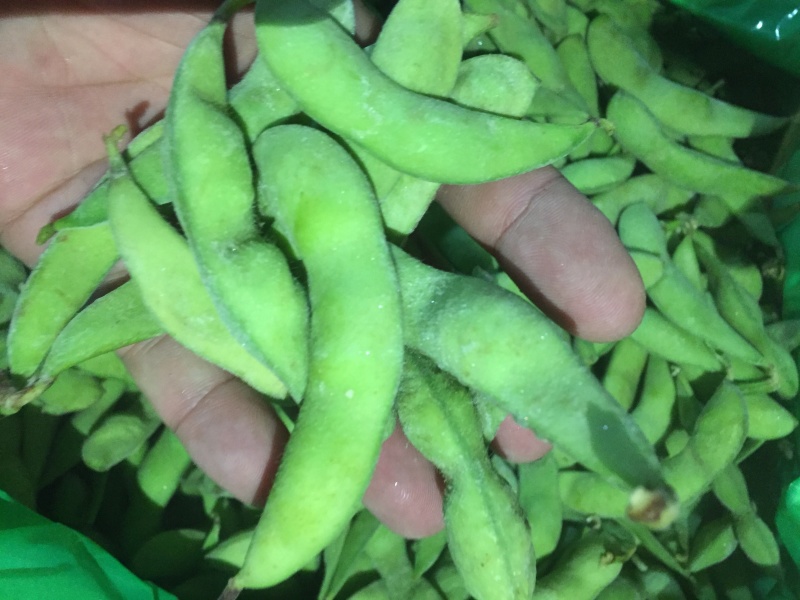 豆类毛豆青豆豌豆各种速冻食品
