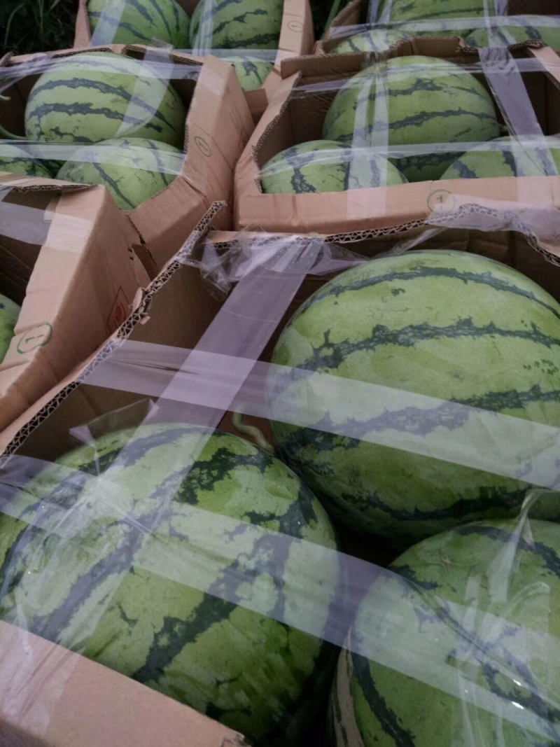 8424