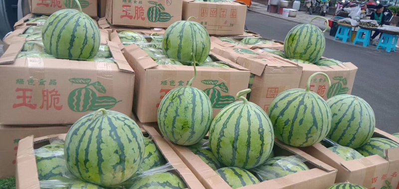8424