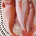 红宝石滨鲷红滨鲷深海钓口鱼野生日料食材