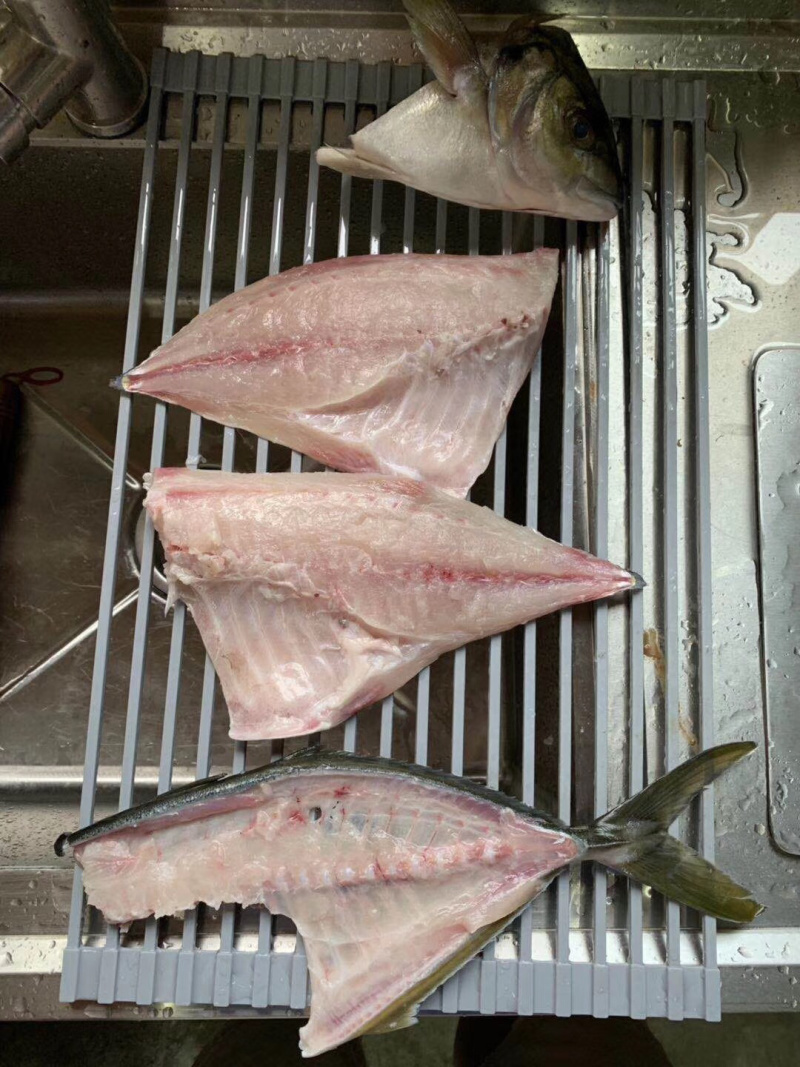 池鱼王鲷鱼日本池鱼王日料食材