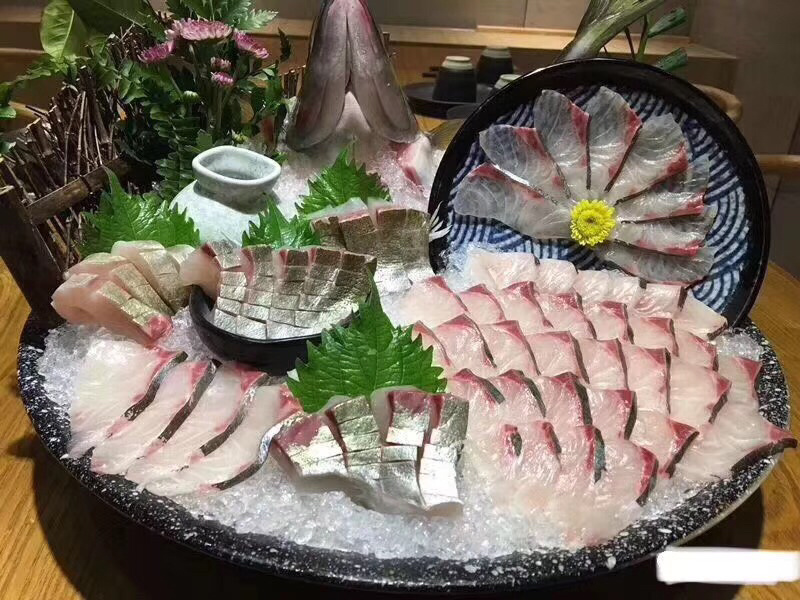 池鱼王鲷鱼日本池鱼王日料食材