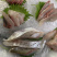 池鱼王鲷鱼日本池鱼王日料食材