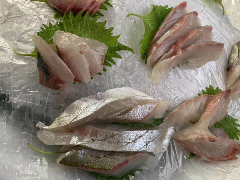 池鱼王鲷鱼日本池鱼王日料食材
