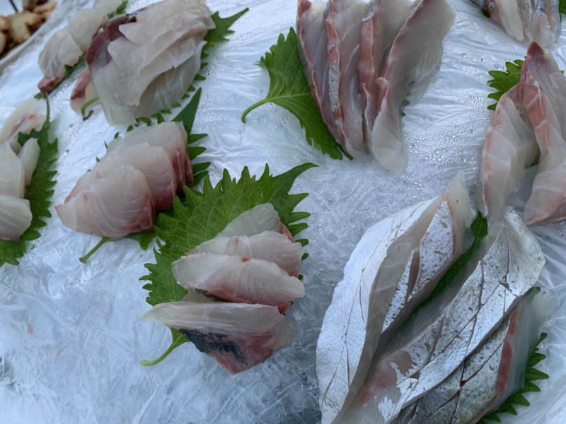 池鱼王鲷鱼日本池鱼王日料食材
