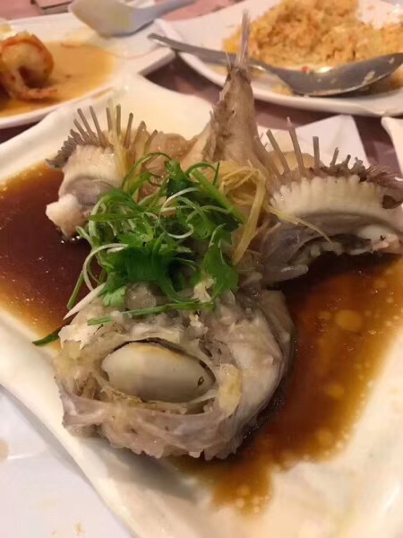 石头鱼鲷鱼深海鱼野生钓口鱼日料食材
