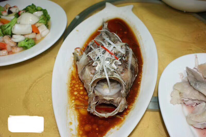 石头鱼鲷鱼深海鱼野生钓口鱼日料食材