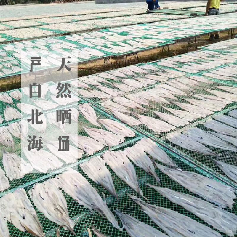 深海鳗鱼干白鳝鱼干白鳗鳗鲡干北海地角渔家自晒烧烤爆炒