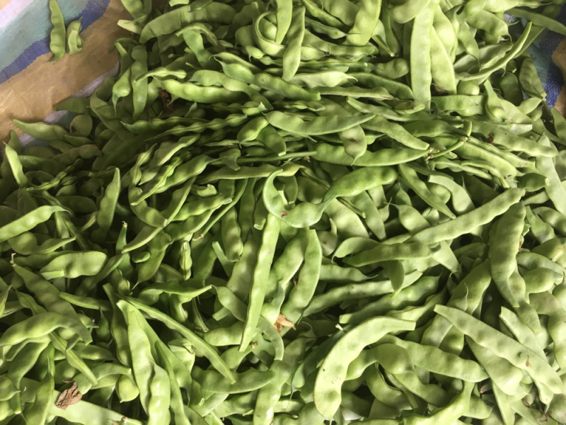 油豆角