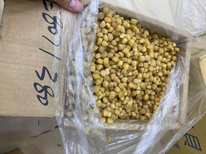 380头大连元贝，扇贝干，干贝，大连瑶柱