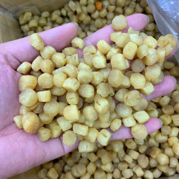 380头大连元贝，扇贝干，干贝，大连瑶柱