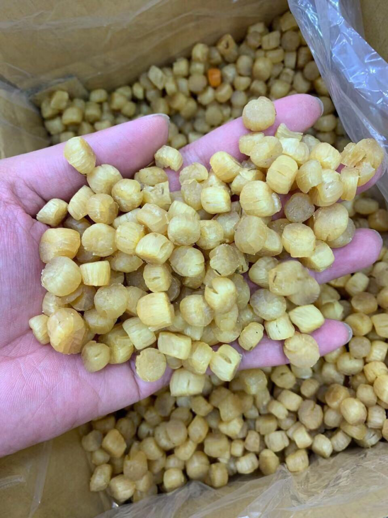 380头大连元贝，扇贝干，干贝，大连瑶柱