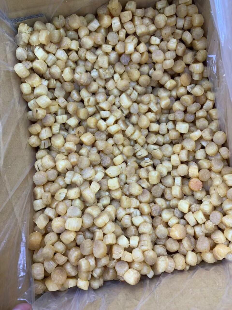 380头大连元贝，扇贝干，干贝，大连瑶柱