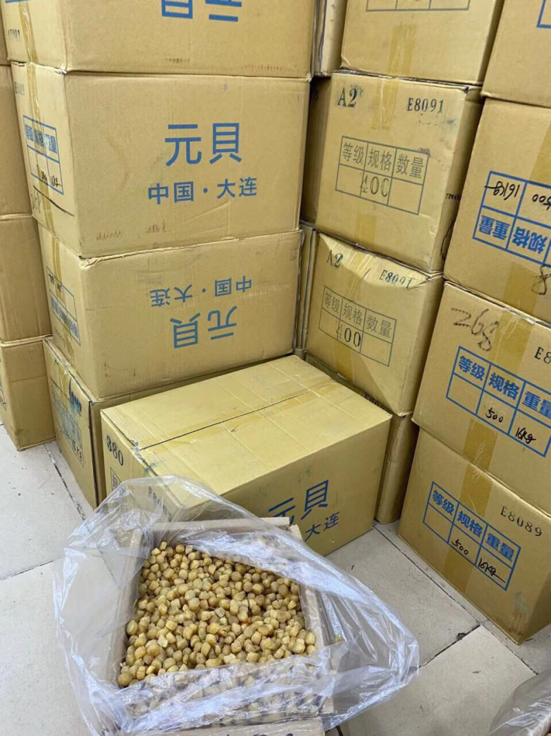 380头大连元贝，扇贝干，干贝，大连瑶柱