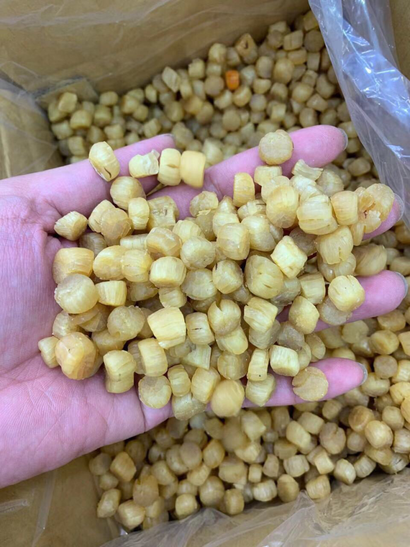 380头大连元贝，扇贝干，干贝，大连瑶柱