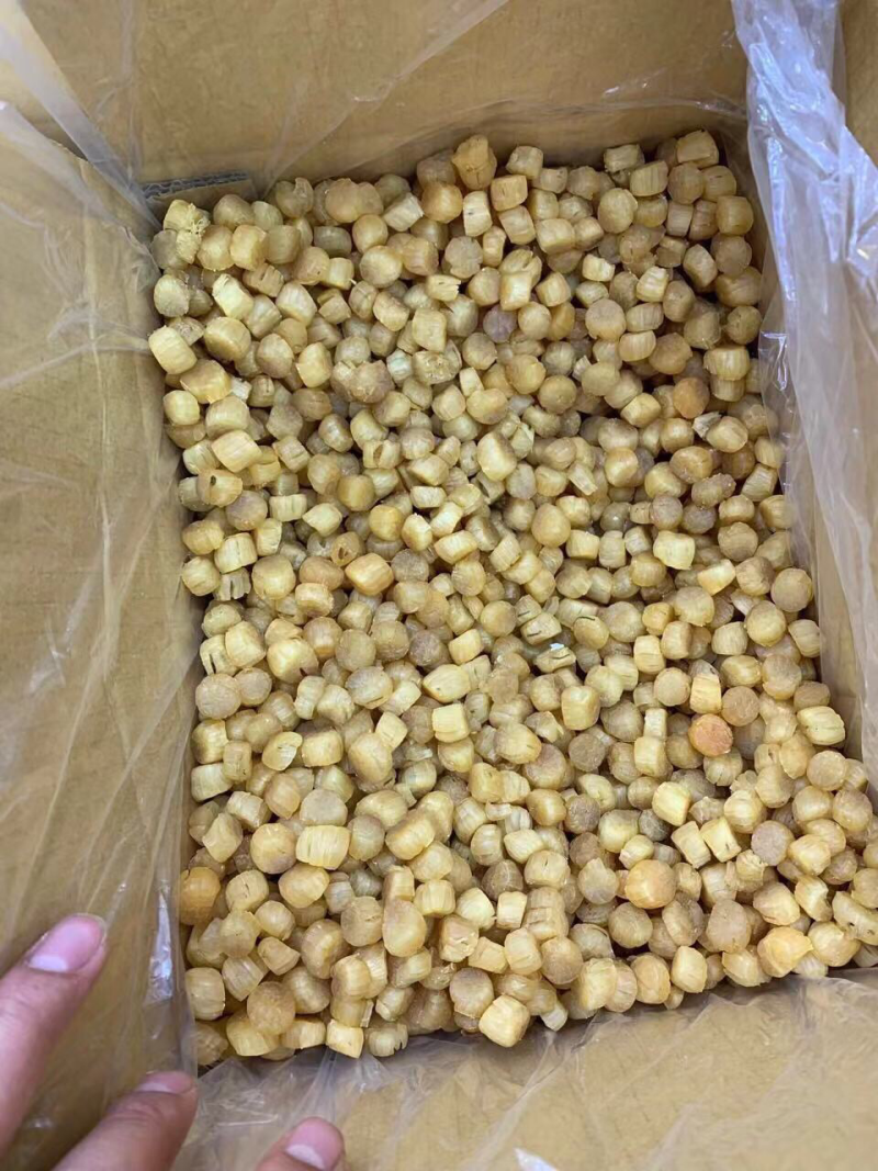 380头大连元贝，扇贝干，干贝，大连瑶柱