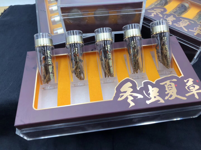 网红虫草、10条一瓶、50条一盒、480元一盒一盒起批