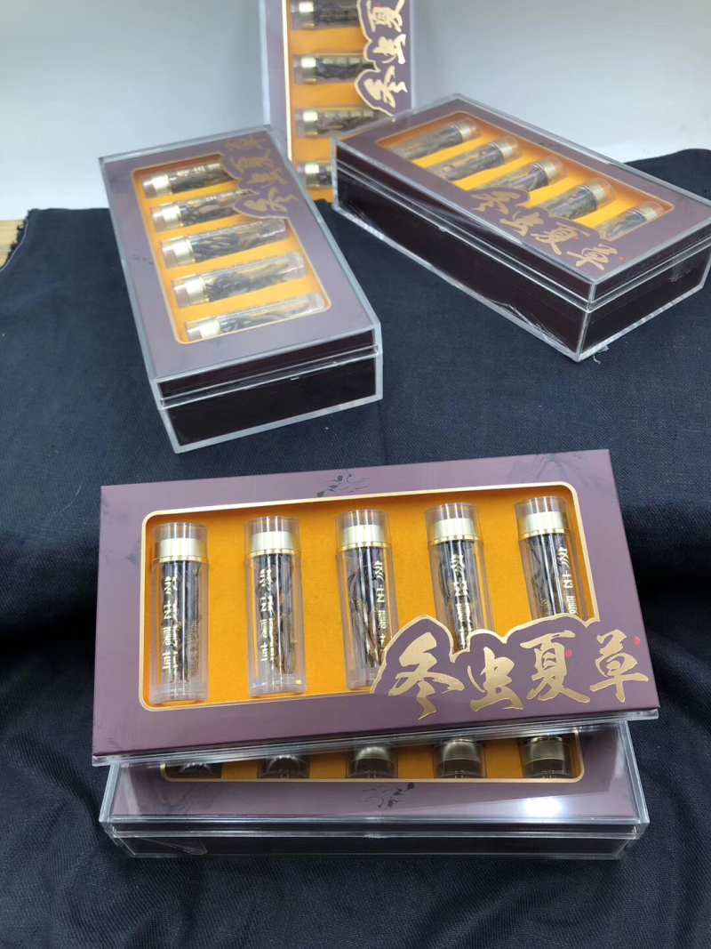 网红虫草、10条一瓶、50条一盒、480元一盒一盒起批