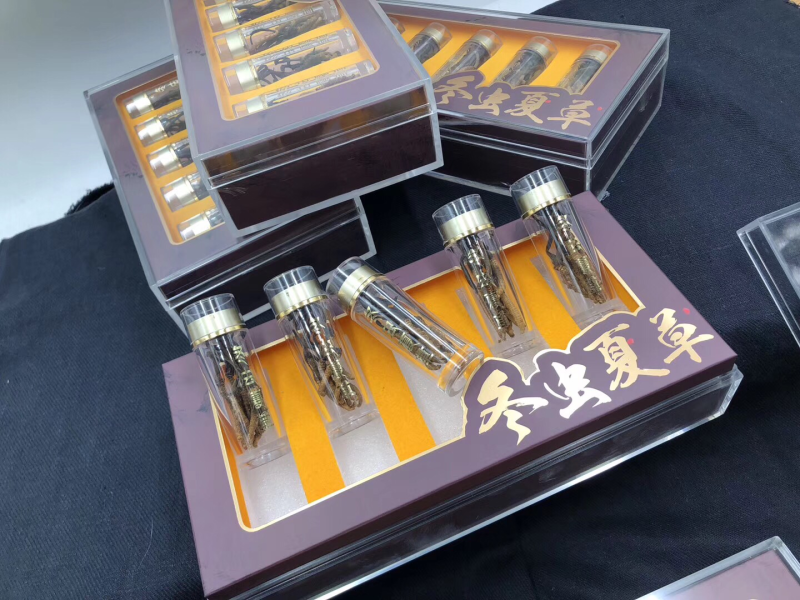 网红虫草、10条一瓶、50条一盒、480元一盒一盒起批
