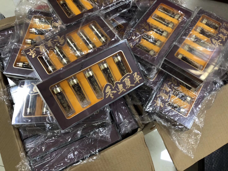 网红虫草、10条一瓶、50条一盒、480元一盒一盒起批