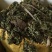 江西南丰大量供应还魂草