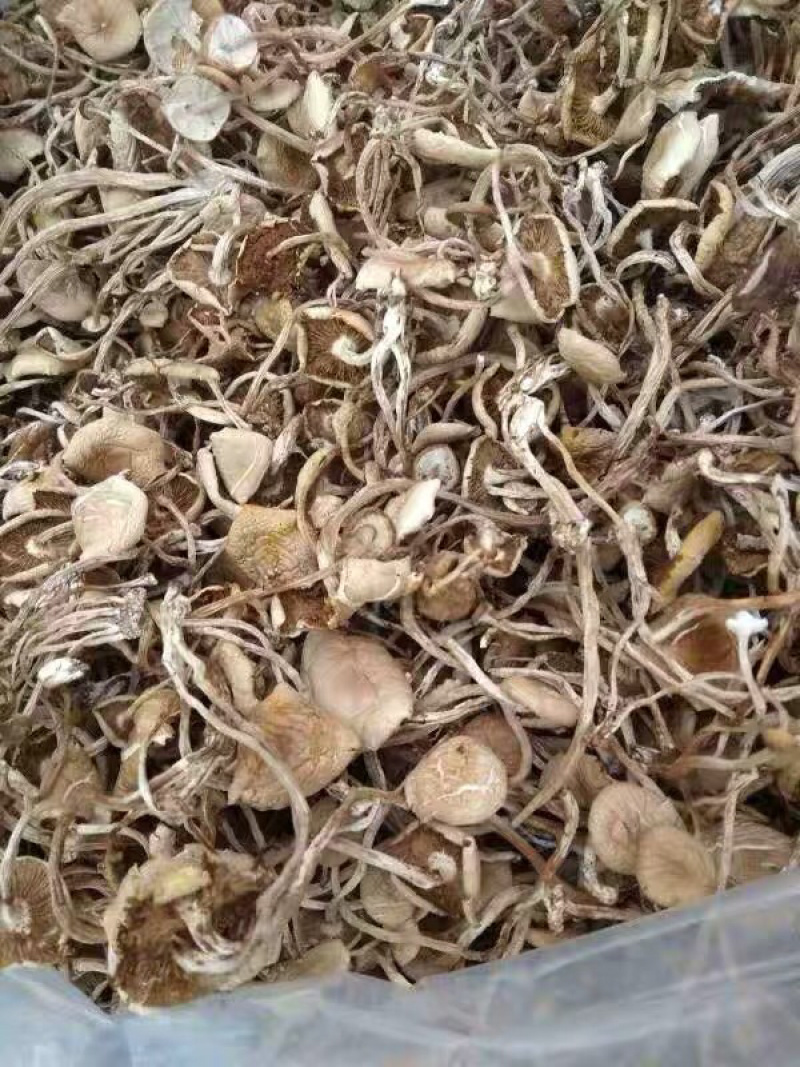 茶树菇干货开伞茶薪菇香菇农家特产农副土特产品