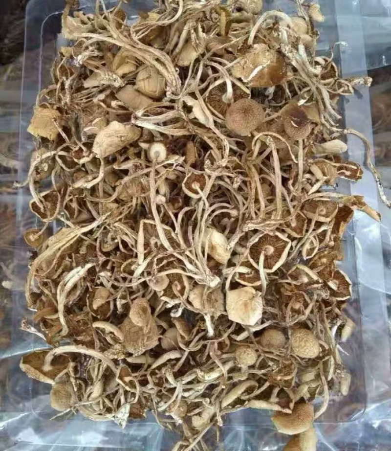 茶树菇干货开伞茶薪菇香菇农家特产农副土特产品