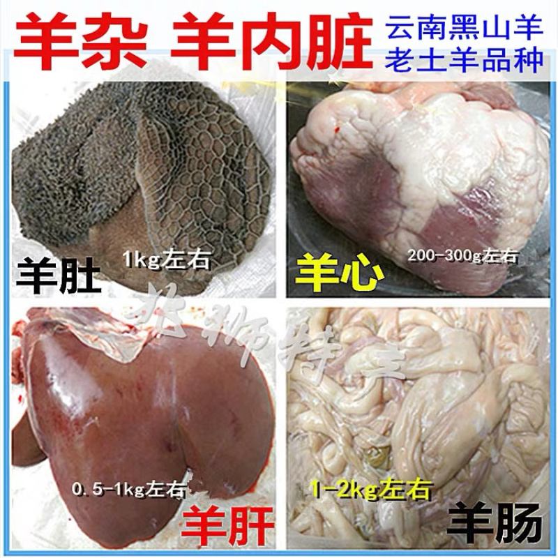 清真纯山羊肉整只羊杂羊肚肠新鲜纯羊血羊宝羊蝎子