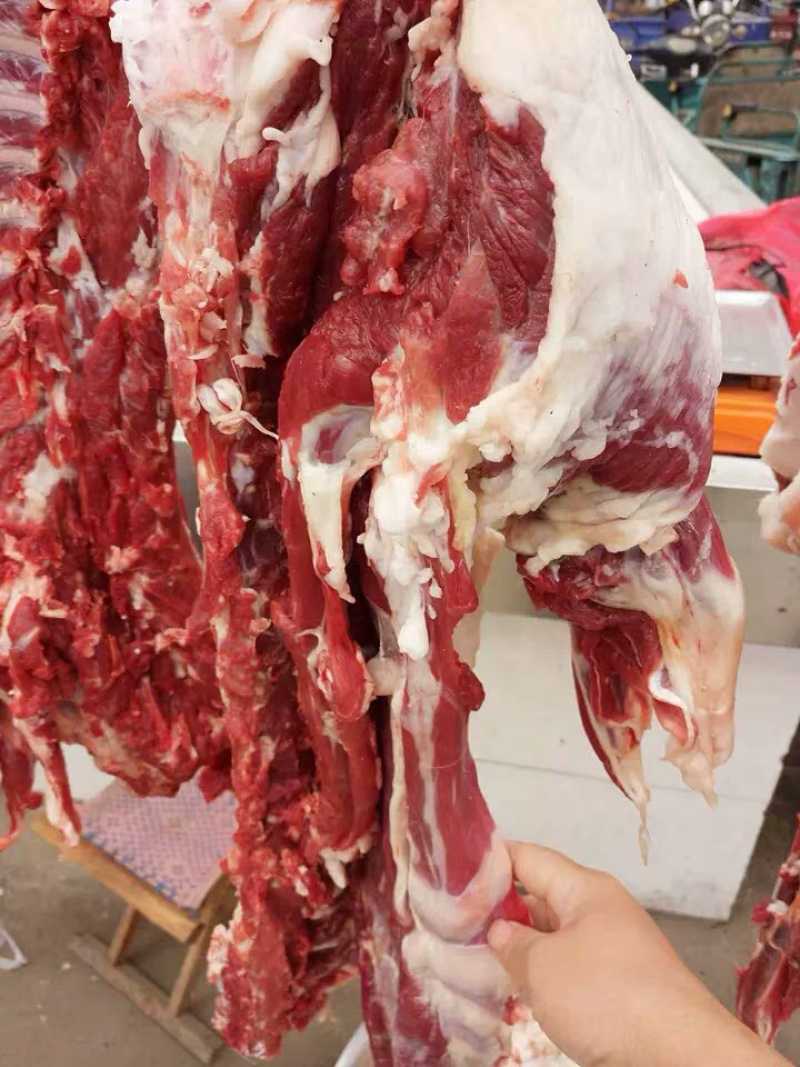 清真纯山羊肉整只羊杂羊肚肠新鲜纯羊血羊宝羊蝎子