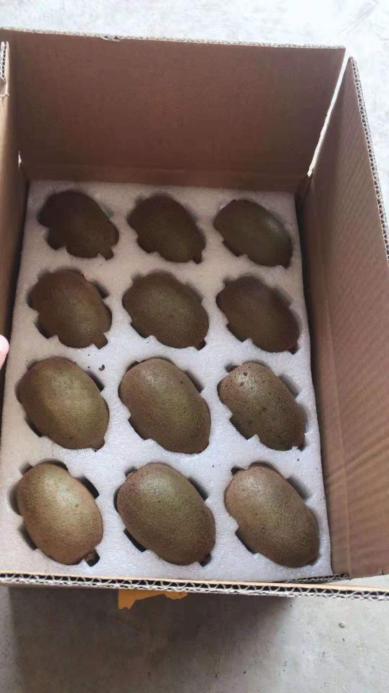 陕西翠香猕猴桃🥝，5斤包邮中果39元