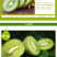 陕西翠香猕猴桃🥝，5斤包邮中果39元