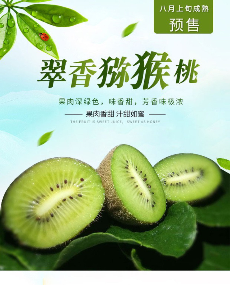 陕西翠香猕猴桃🥝，5斤包邮中果39元