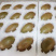陕西翠香猕猴桃🥝，5斤包邮中果39元