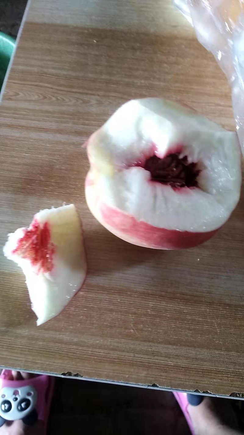 八月中旬成熟的桃子：不软桃秋雪桃