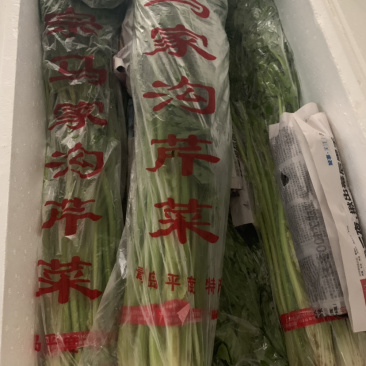 马家沟芹菜